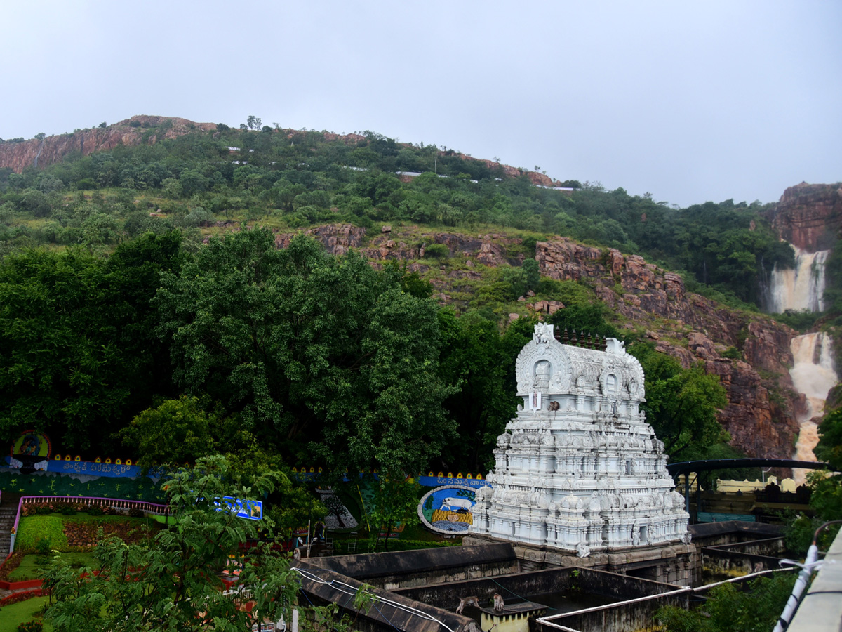 Nivar Cyclone in Tirupati Photos - Sakshi29