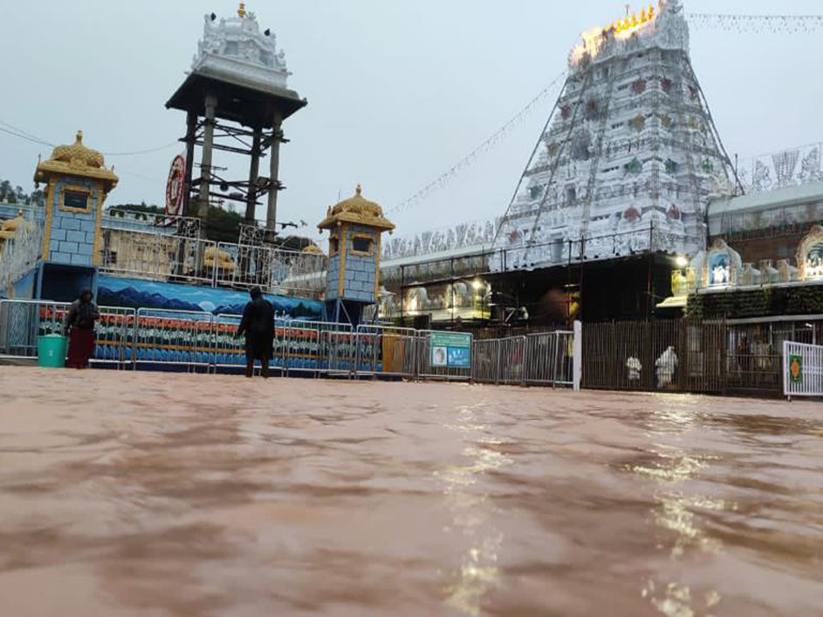 Nivar Cyclone in Tirupati Photos - Sakshi3