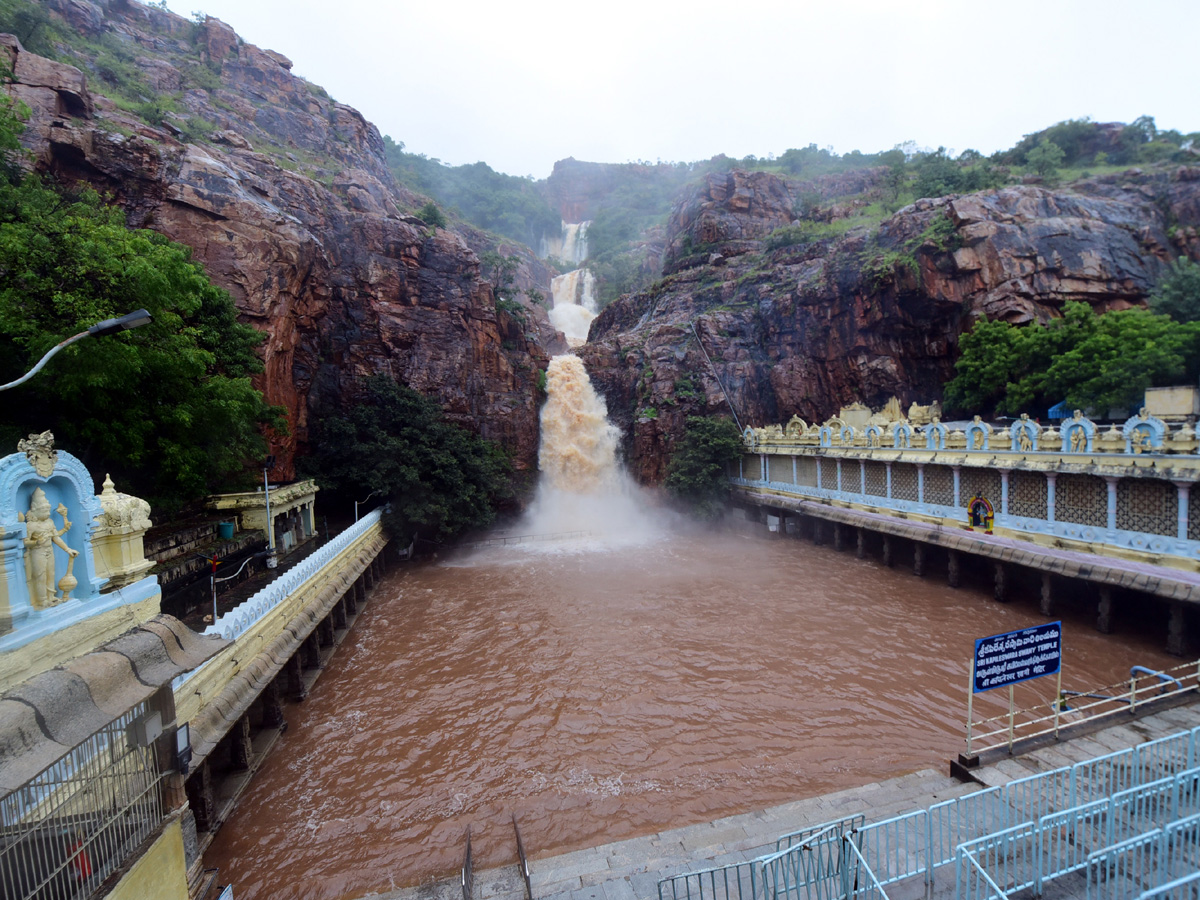 Nivar Cyclone in Tirupati Photos - Sakshi32