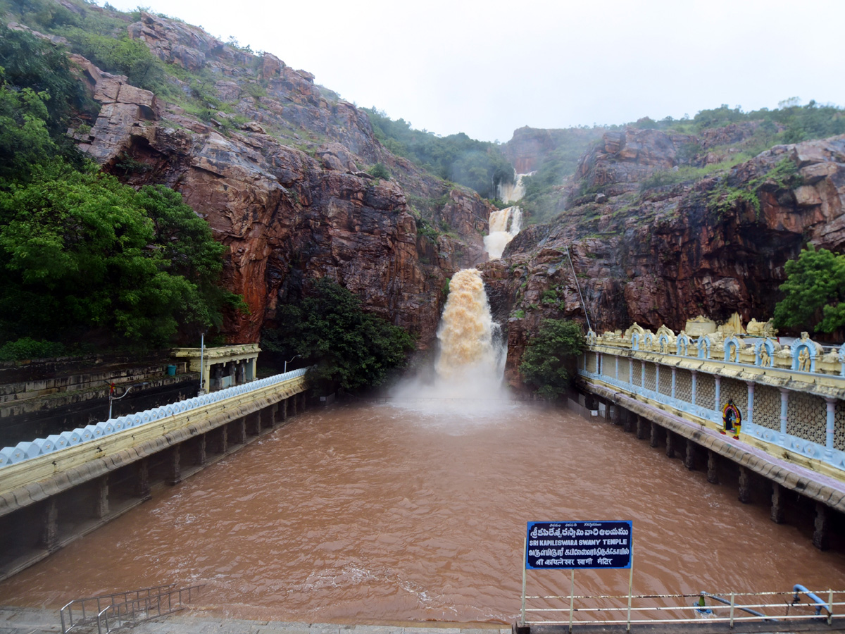 Nivar Cyclone in Tirupati Photos - Sakshi33