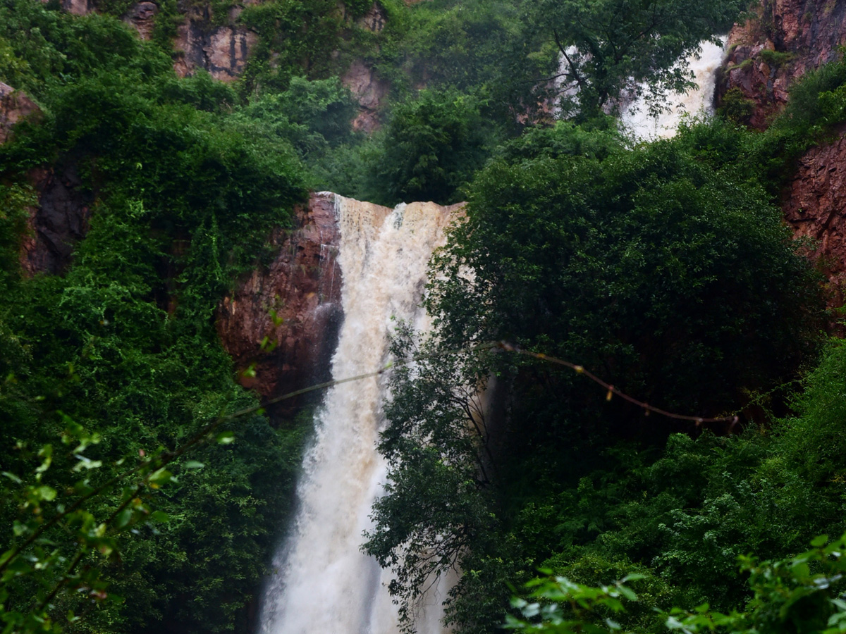 Nivar Cyclone in Tirupati Photos - Sakshi34