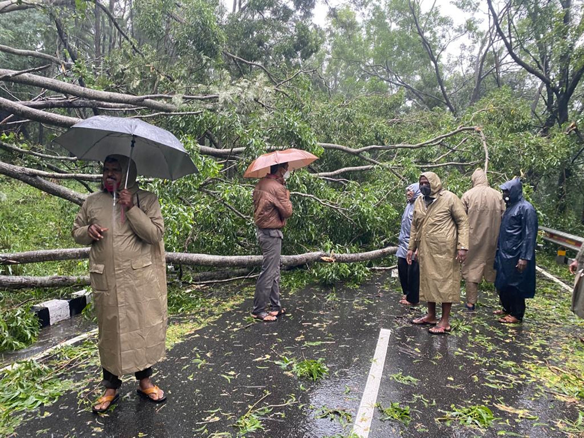 Nivar Cyclone in Tirupati Photos - Sakshi35