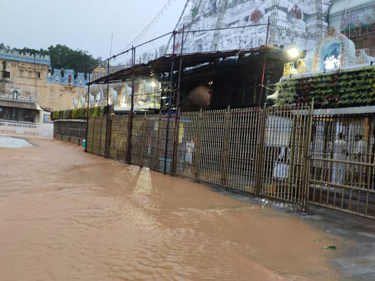 Nivar Cyclone in Tirupati Photos - Sakshi37