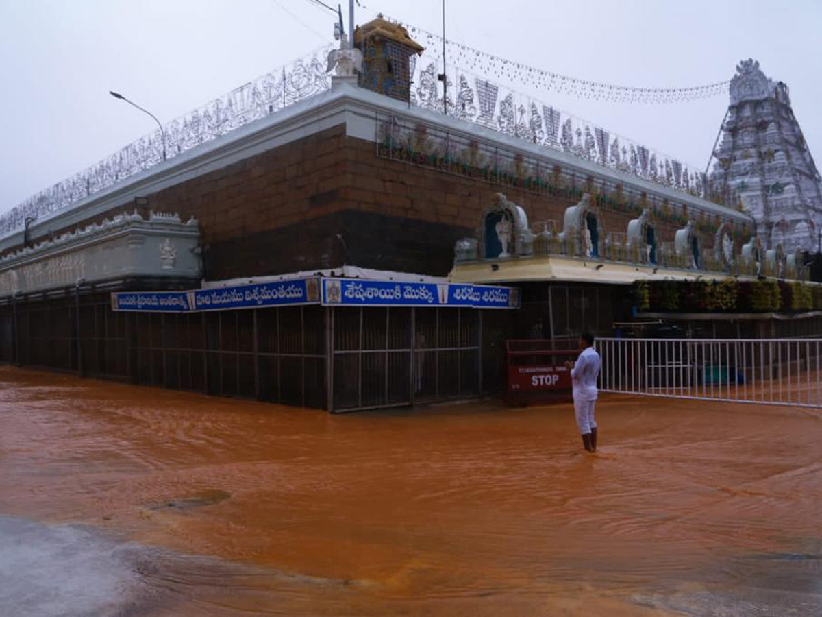 Nivar Cyclone in Tirupati Photos - Sakshi38