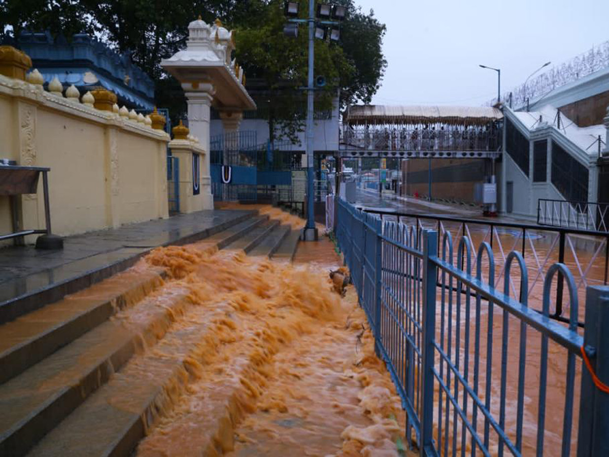 Nivar Cyclone in Tirupati Photos - Sakshi39