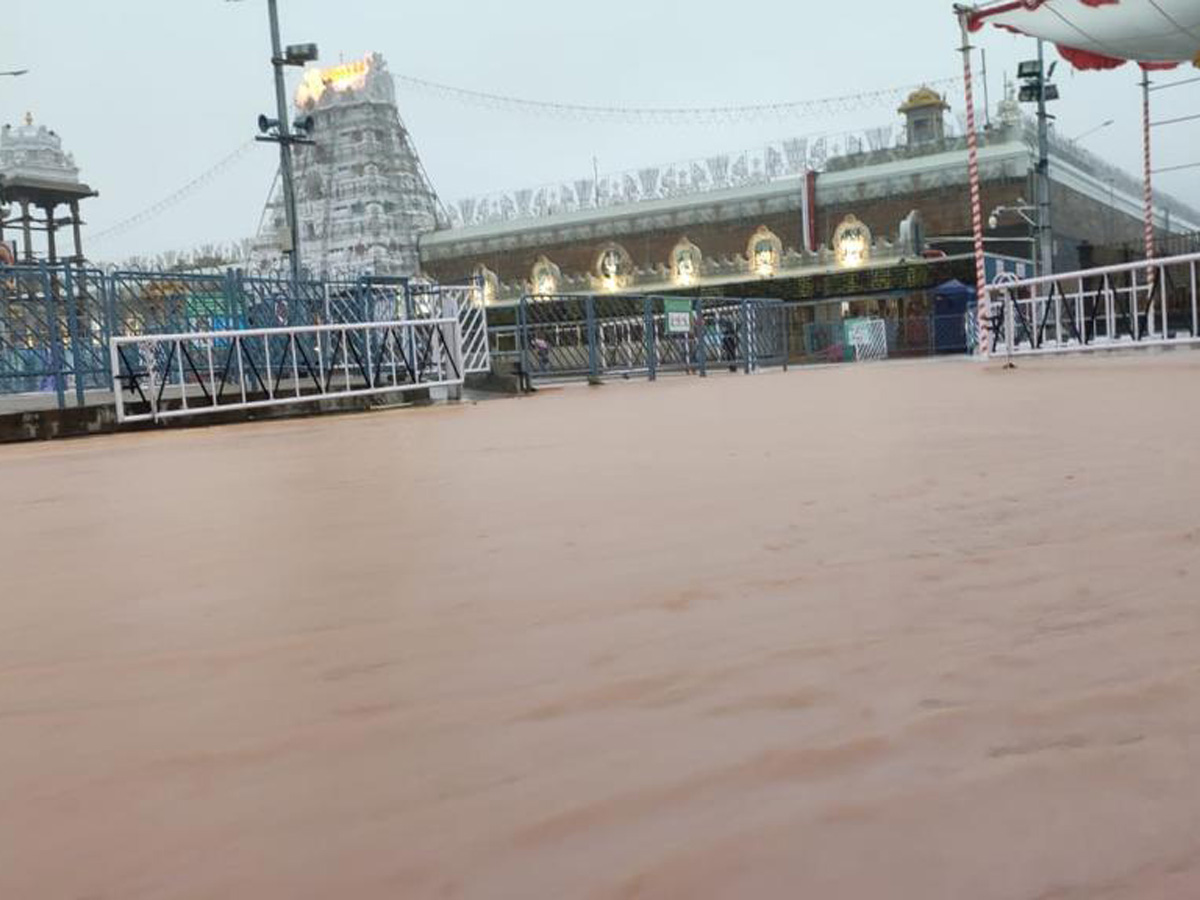 Nivar Cyclone in Tirupati Photos - Sakshi40