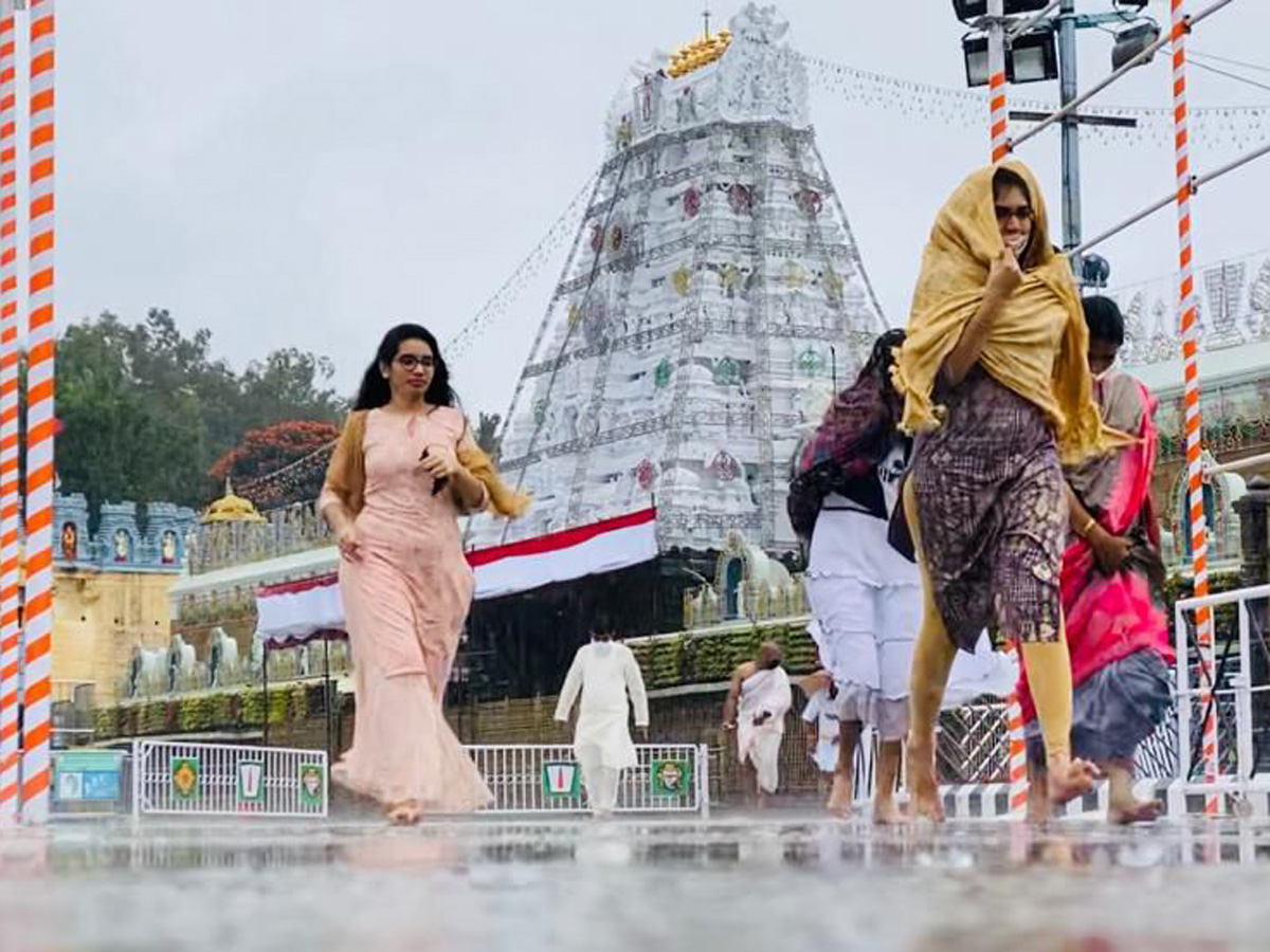 Nivar Cyclone in Tirupati Photos - Sakshi7