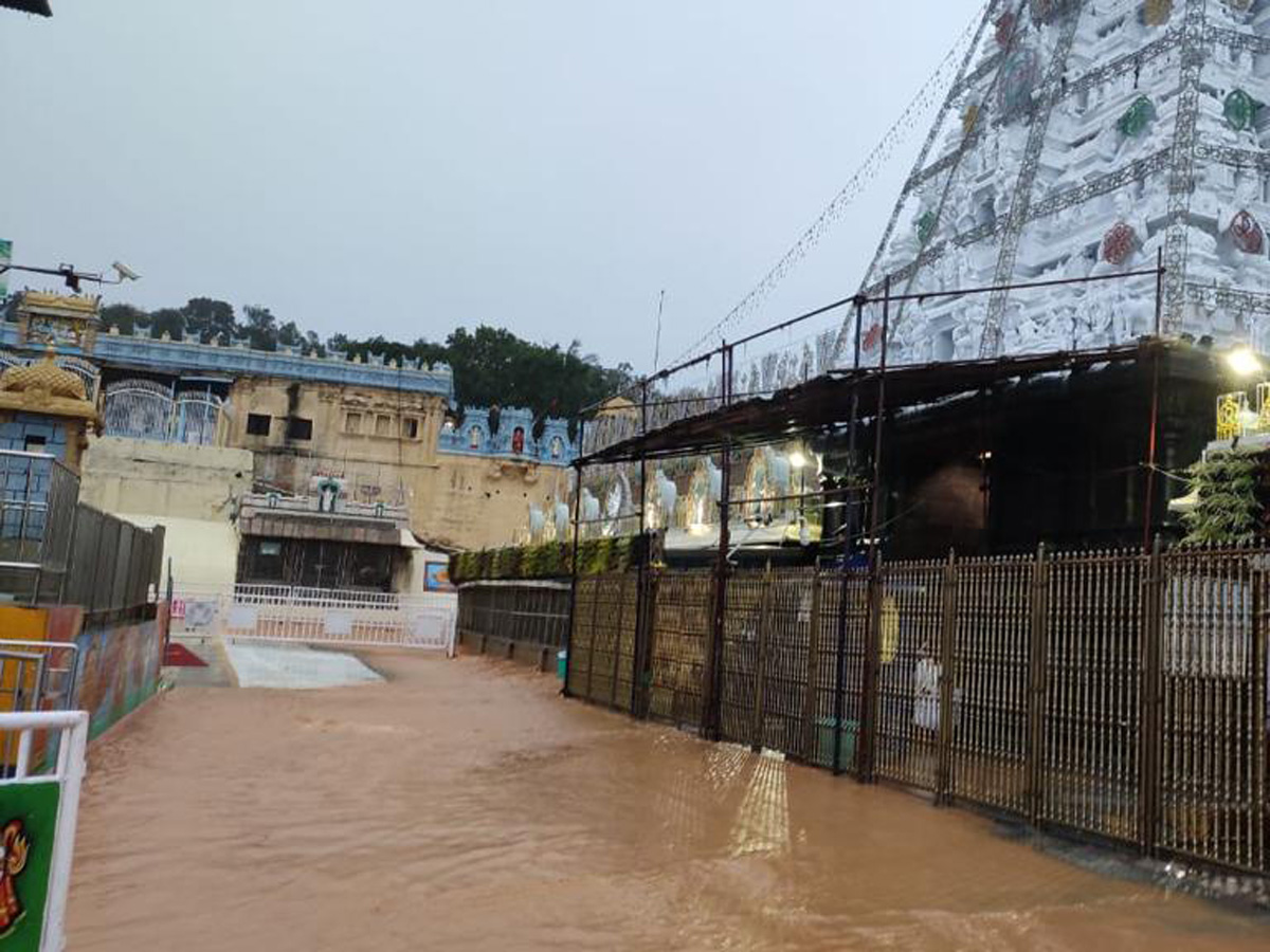 Nivar Cyclone in Tirupati Photos - Sakshi8