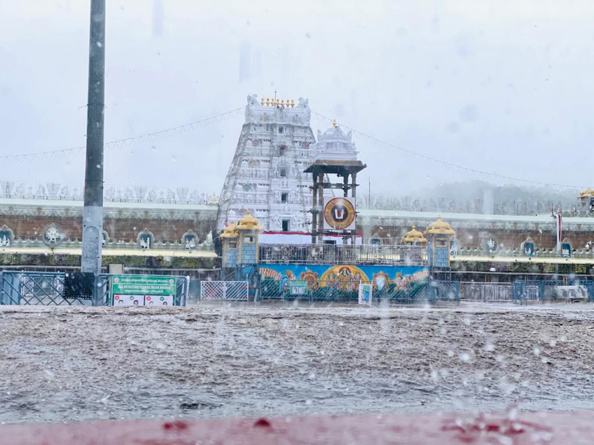 Nivar Cyclone in Tirupati Photos - Sakshi9