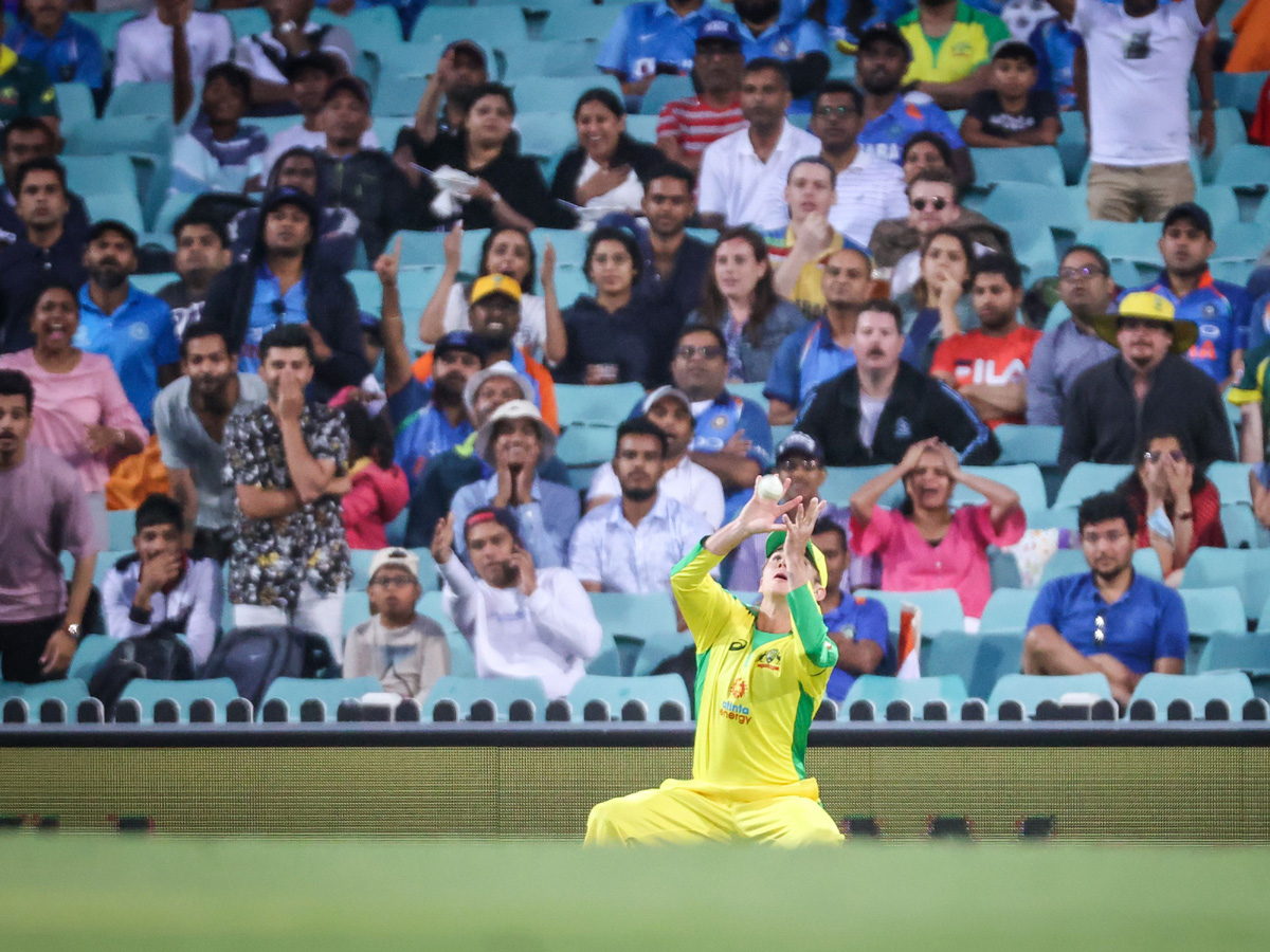 Australia beats India by 66 runs Photo Gallery - Sakshi19