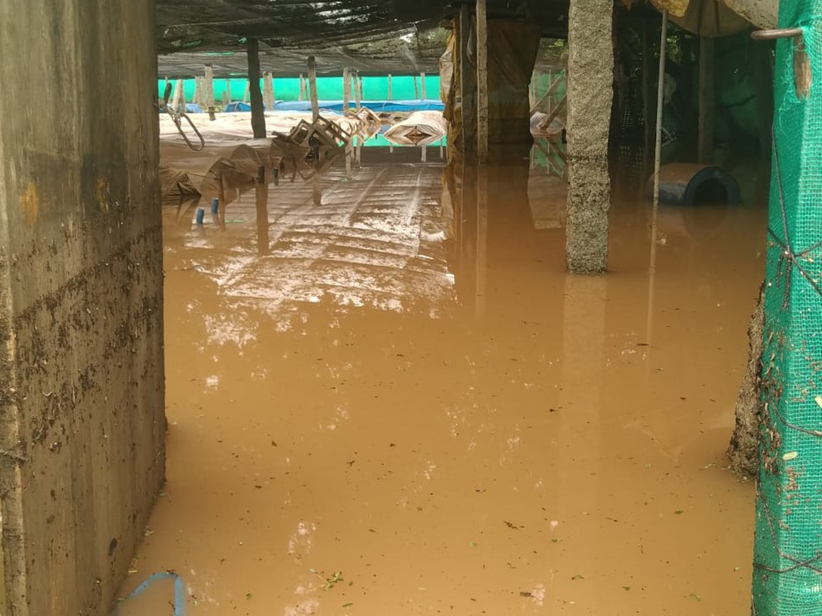 Nivar Cyclone Andhra Pradesh Photos - Sakshi2