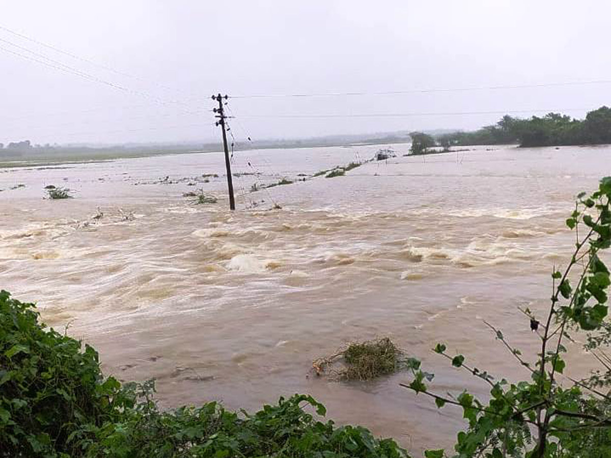 Nivar Cyclone Andhra Pradesh Photos - Sakshi78