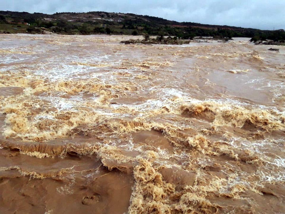 Nivar Cyclone Andhra Pradesh Photos - Sakshi83