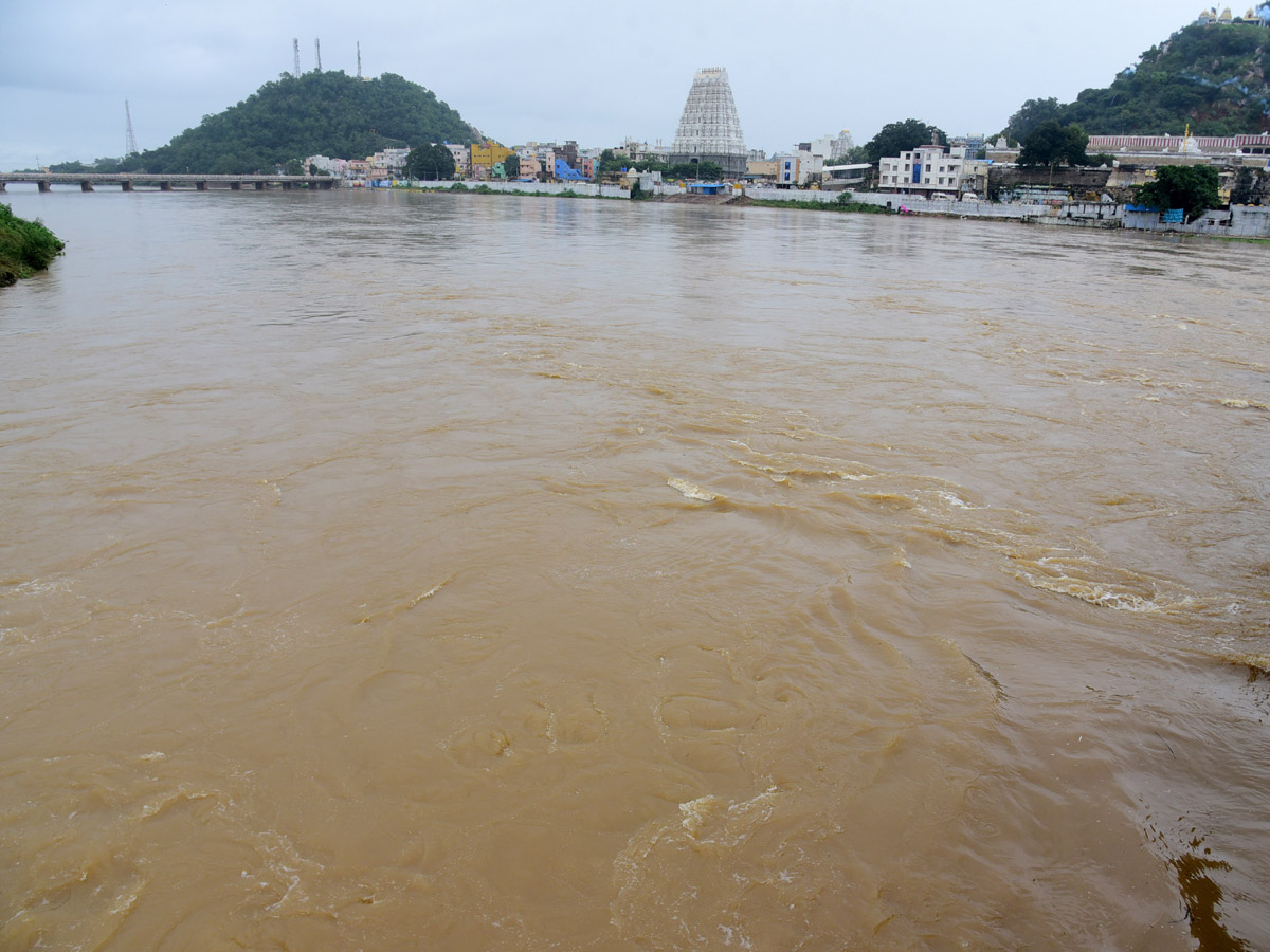 Nivar Cyclone Andhra Pradesh Photos - Sakshi87