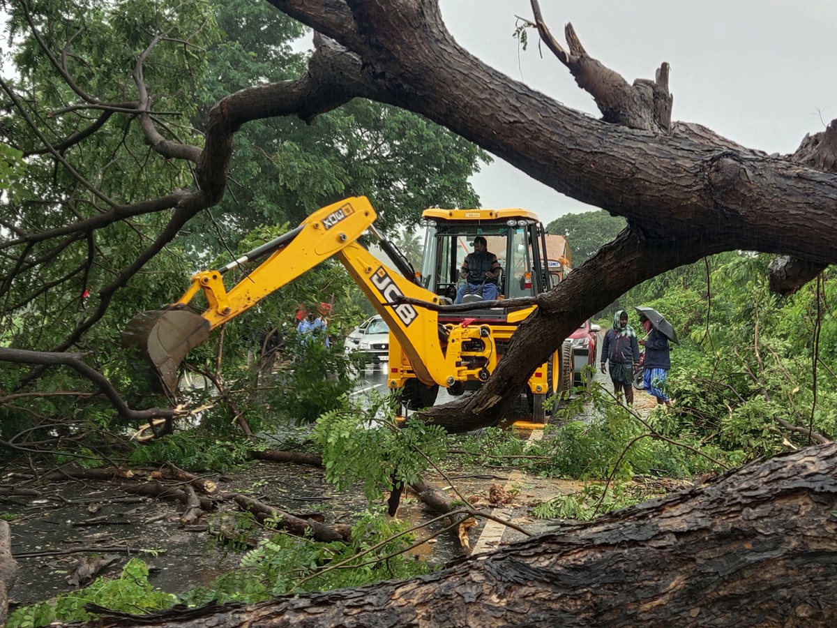 Nivar Cyclone Andhra Pradesh Photos - Sakshi13