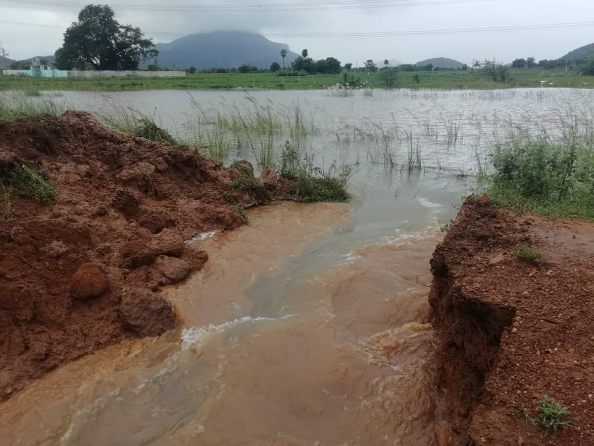 Nivar Cyclone Andhra Pradesh Photos - Sakshi4