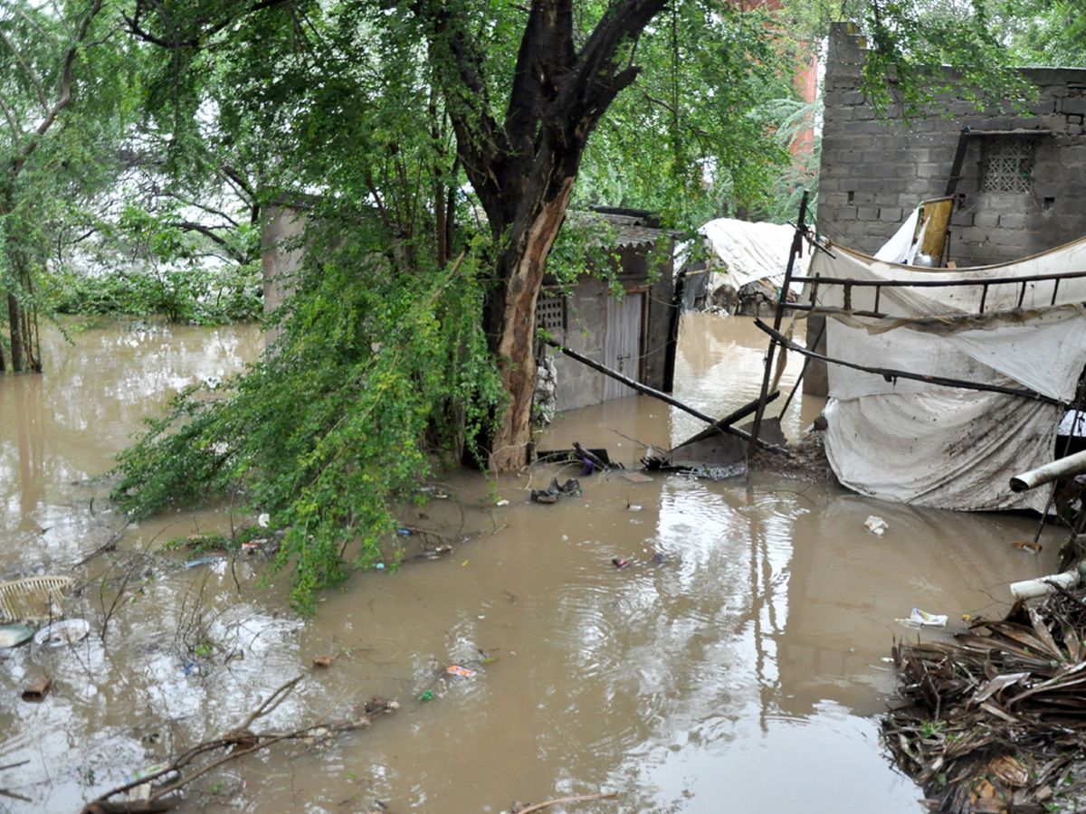 Nivar Cyclone Andhra Pradesh Photos - Sakshi31