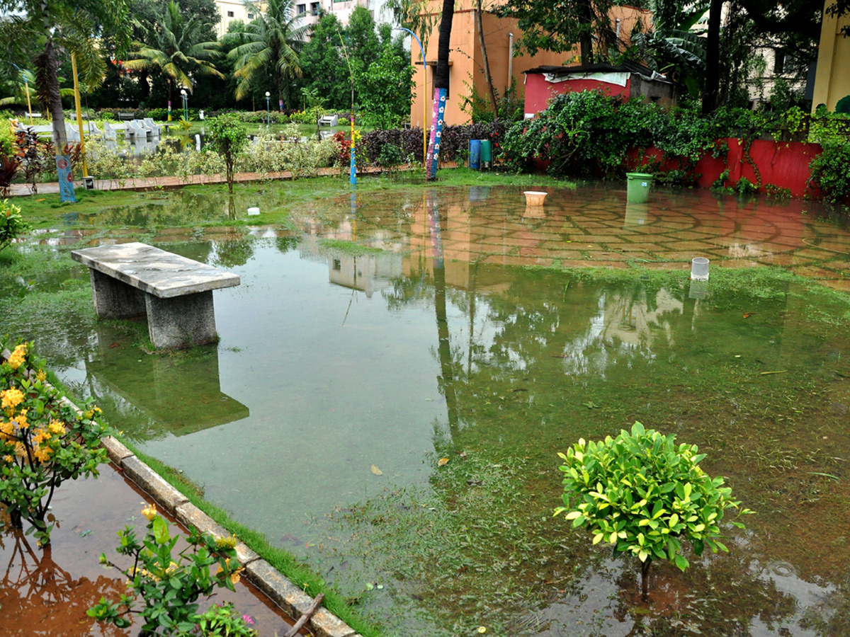 Nivar Cyclone Andhra Pradesh Photos - Sakshi42