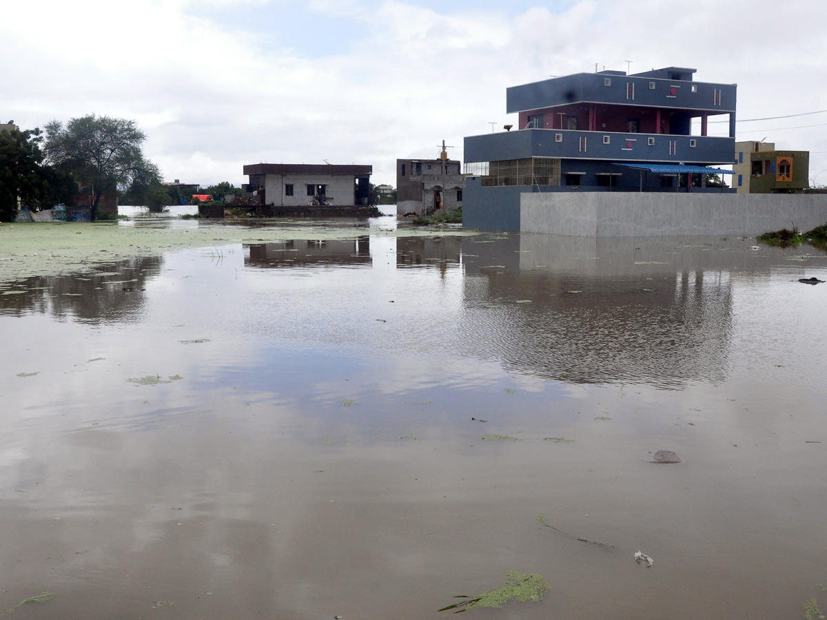 Nivar Cyclone Andhra Pradesh Photos - Sakshi51