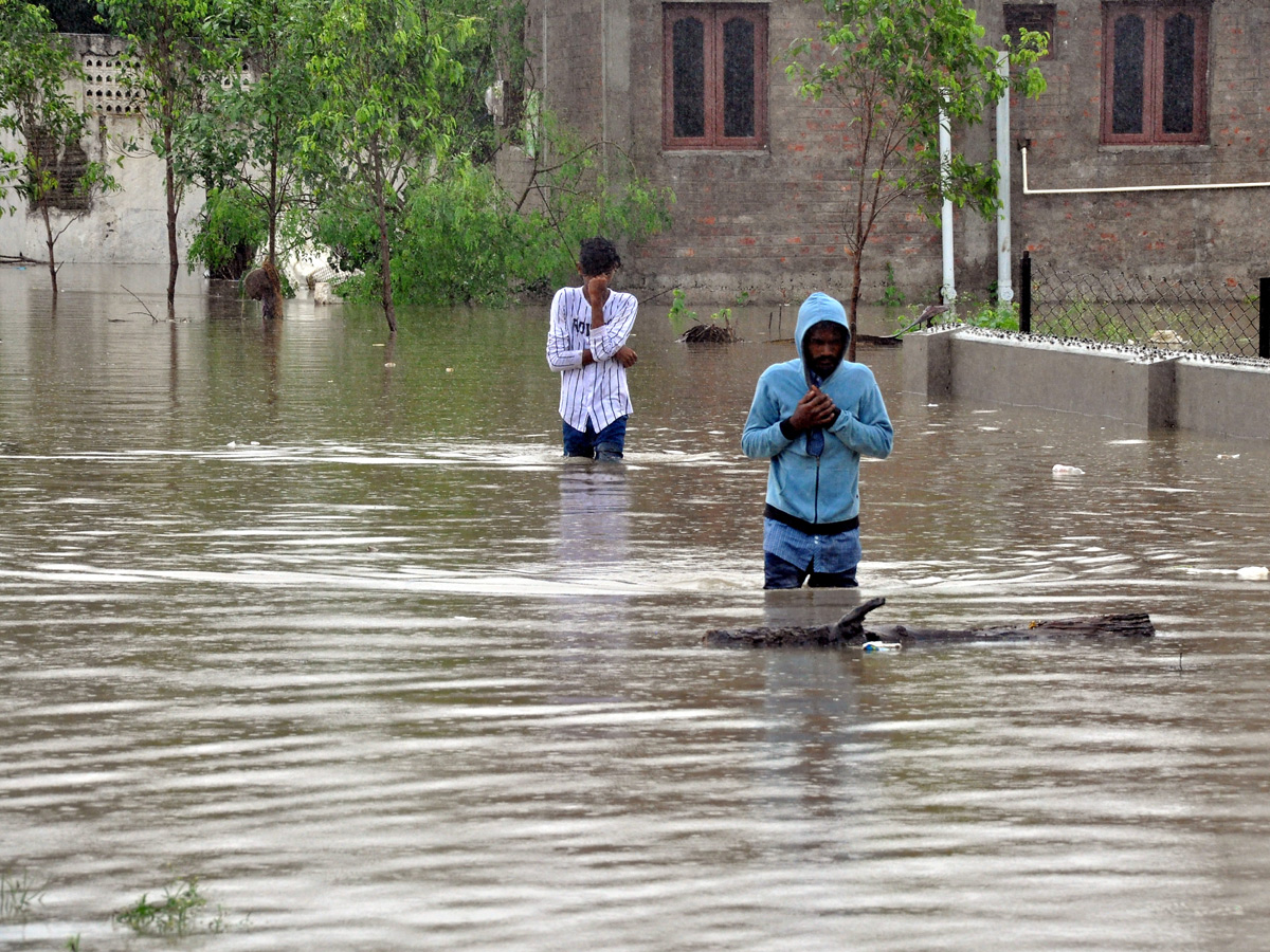 Nivar Cyclone Andhra Pradesh Photos - Sakshi53