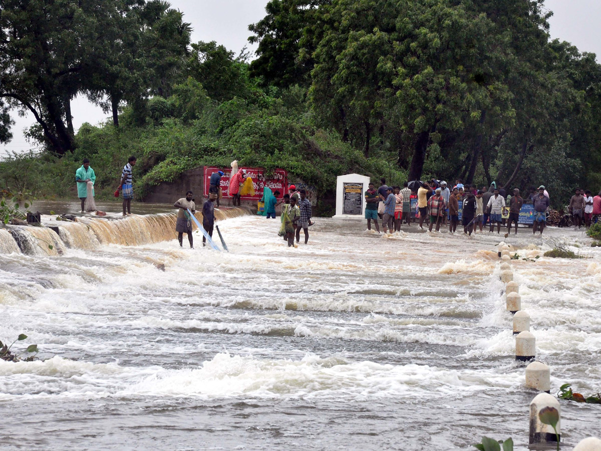 Nivar Cyclone Andhra Pradesh Photos - Sakshi55