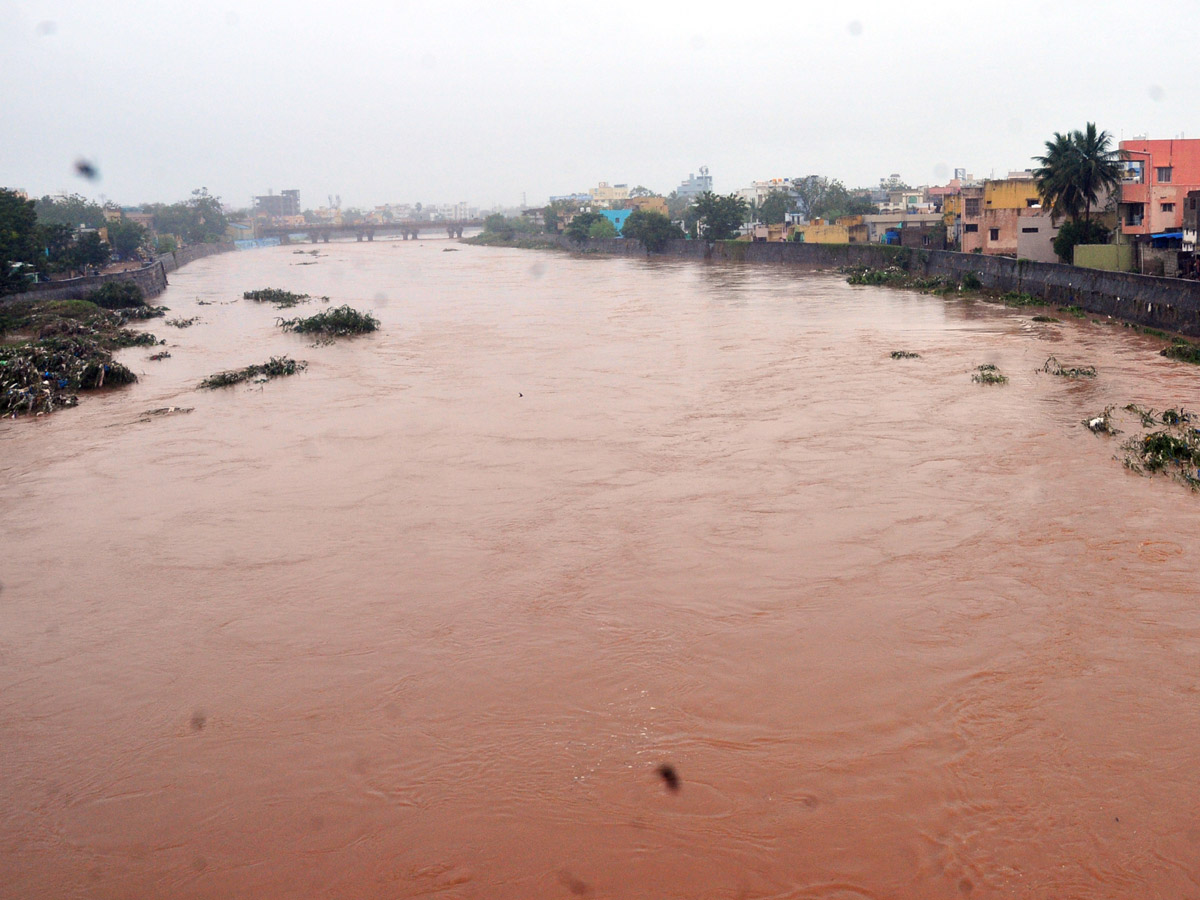 Nivar Cyclone Andhra Pradesh Photos - Sakshi56