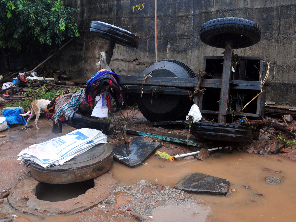 Nivar Cyclone Andhra Pradesh Photos - Sakshi61