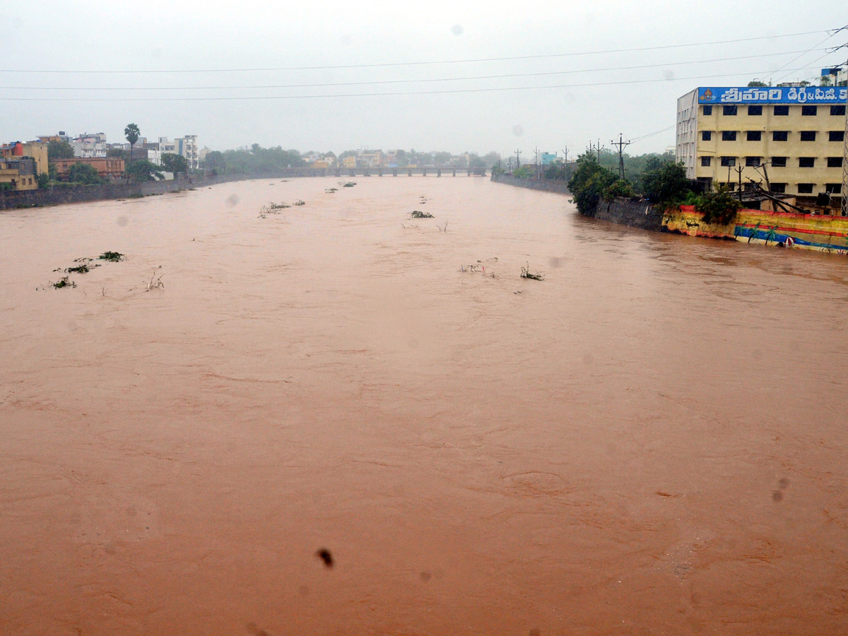 Nivar Cyclone Andhra Pradesh Photos - Sakshi65