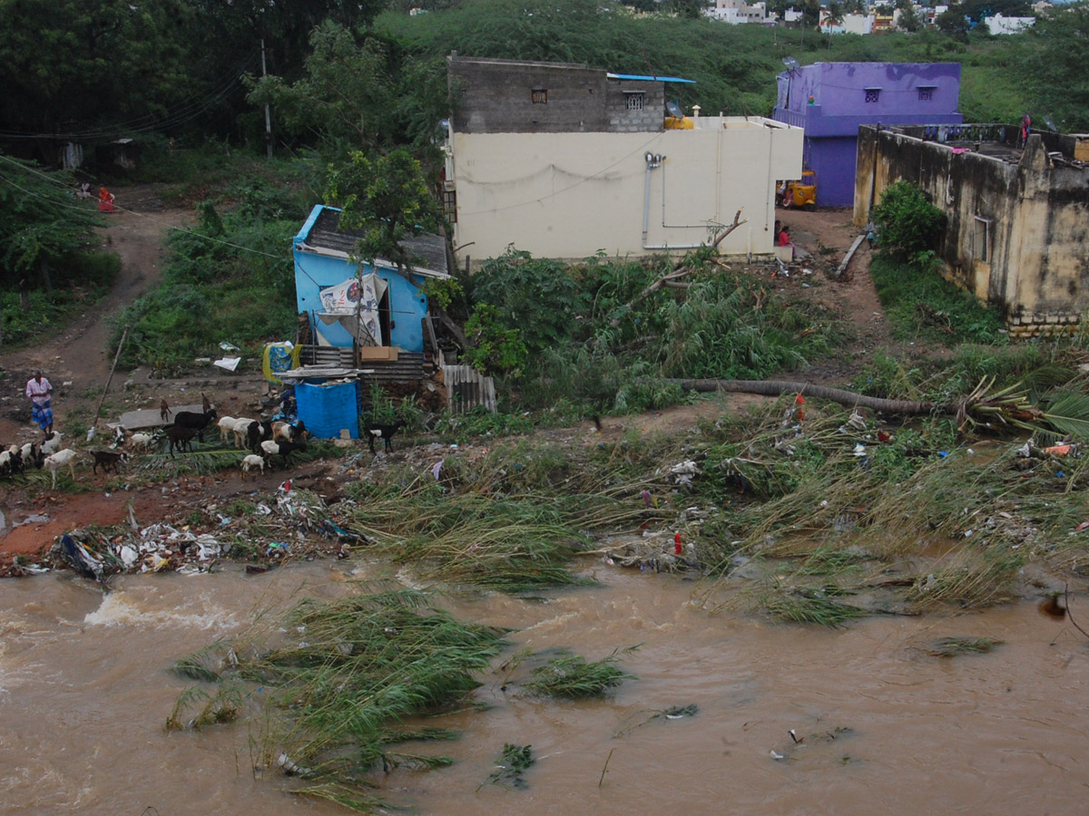 Nivar Cyclone Andhra Pradesh Photos - Sakshi66