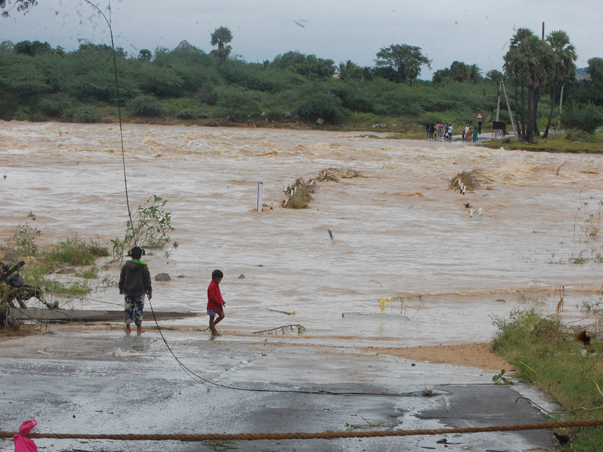 Nivar Cyclone Andhra Pradesh Photos - Sakshi67