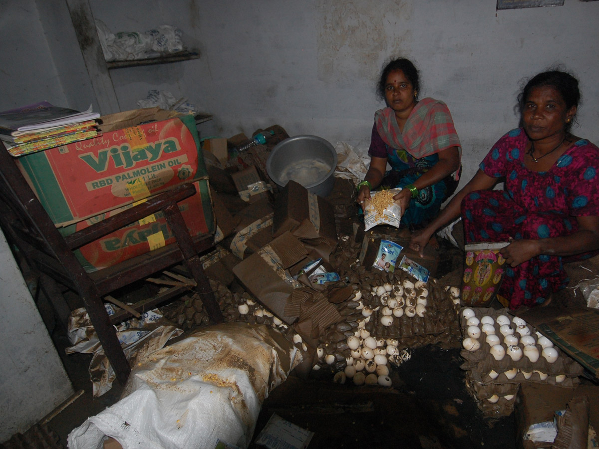 Nivar Cyclone Andhra Pradesh Photos - Sakshi70