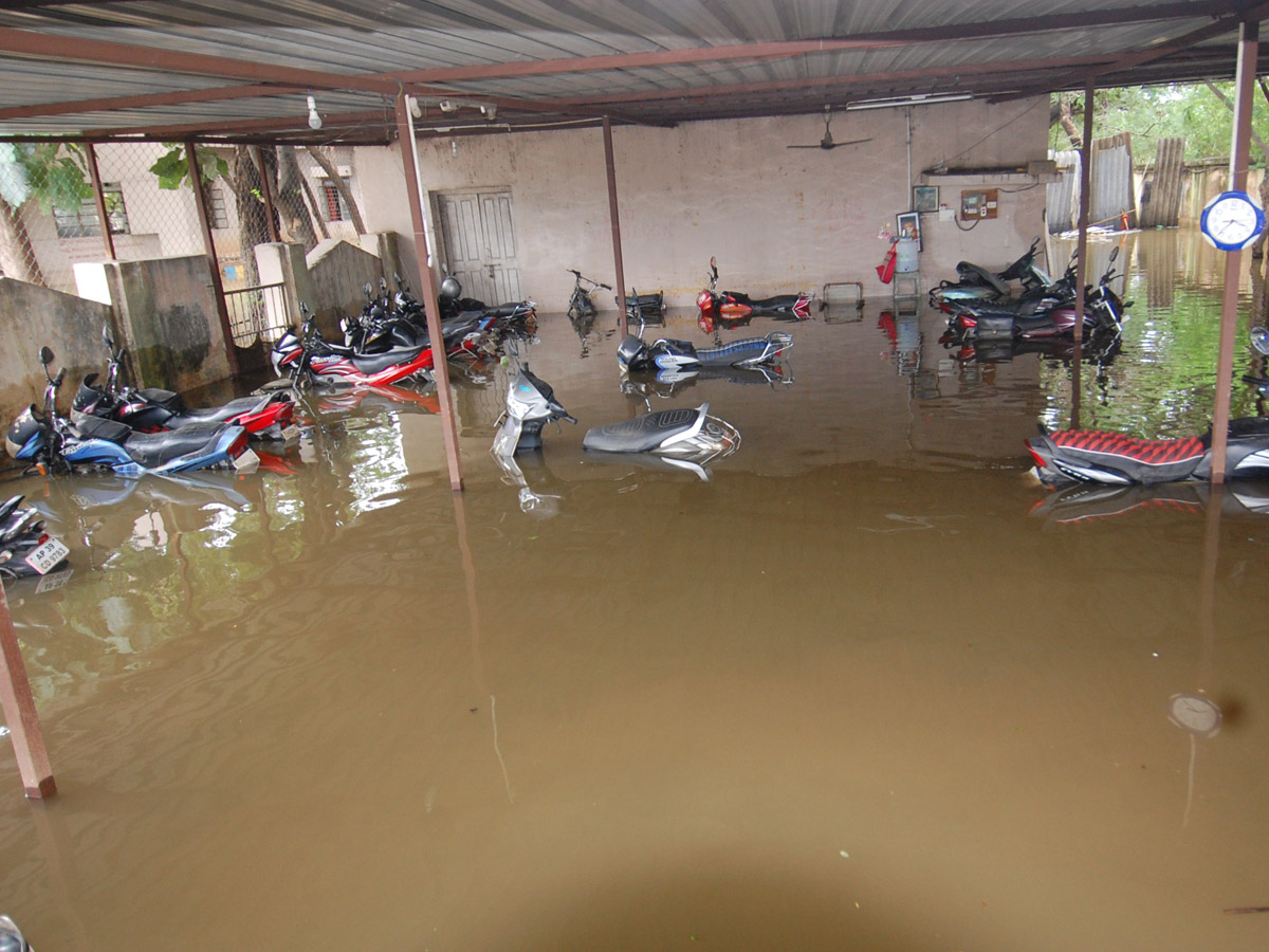 Nivar Cyclone Andhra Pradesh Photos - Sakshi73