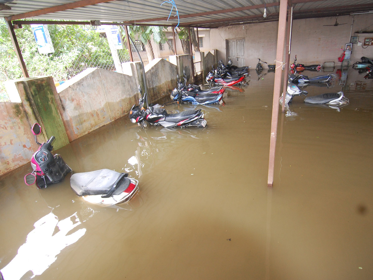 Nivar Cyclone Andhra Pradesh Photos - Sakshi74