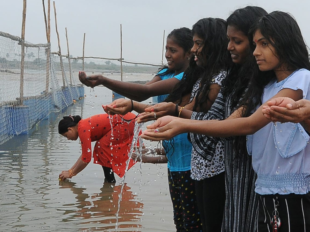 Tungabhadra Pushkaralu 2020 Photo Gallery - Sakshi19