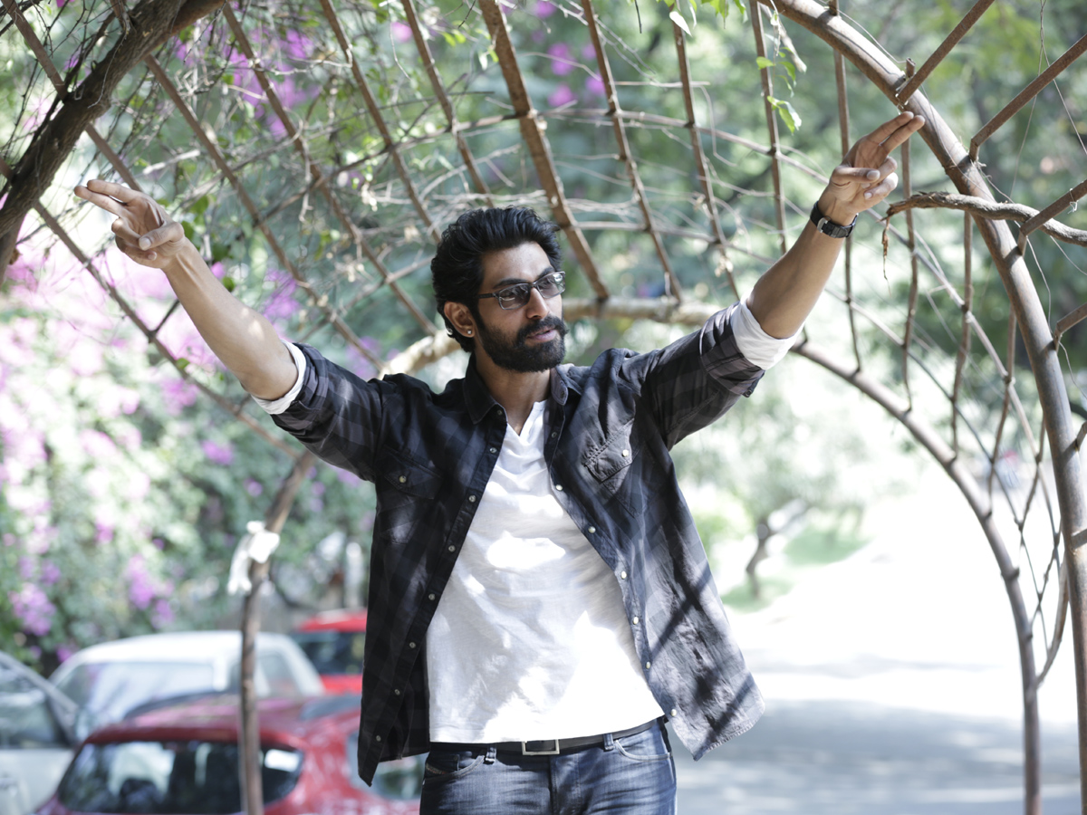 Rana Daggubati Photos - Sakshi16