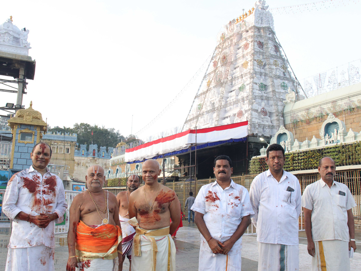 koil alwar thirumanjanam performed in tirumala Photo Gallery - Sakshi3