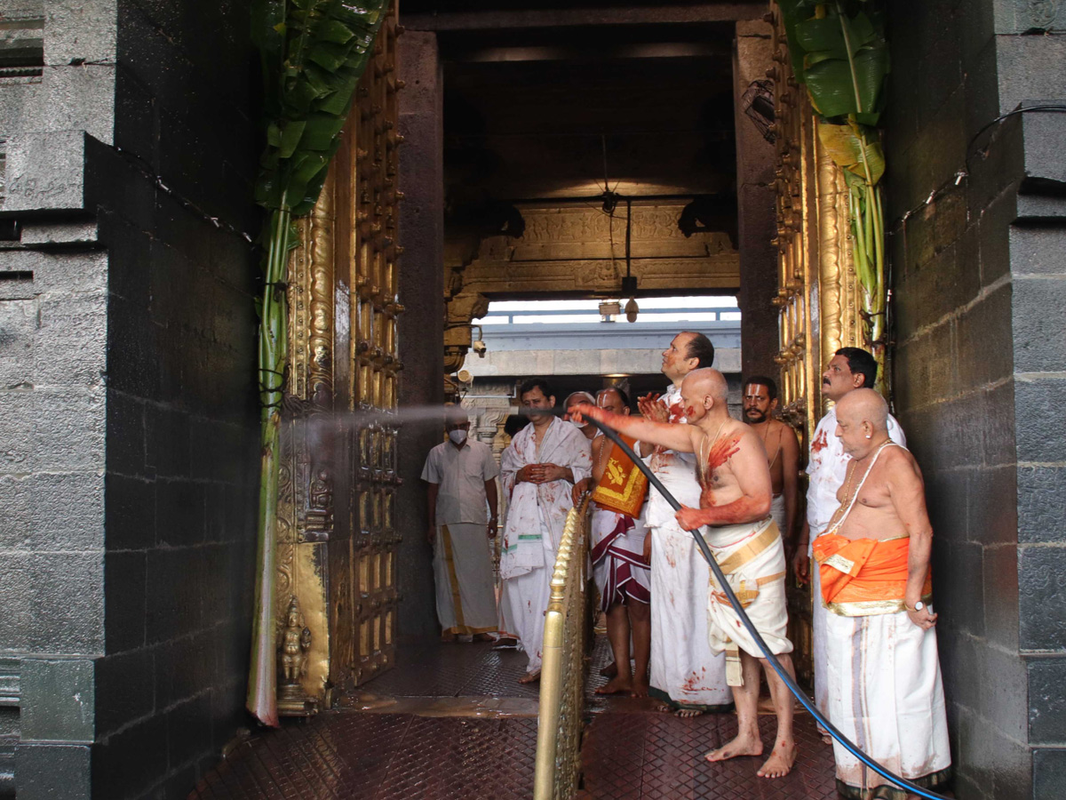 koil alwar thirumanjanam performed in tirumala Photo Gallery - Sakshi4