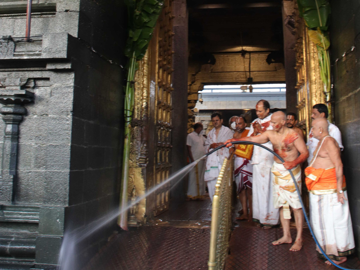 koil alwar thirumanjanam performed in tirumala Photo Gallery - Sakshi5