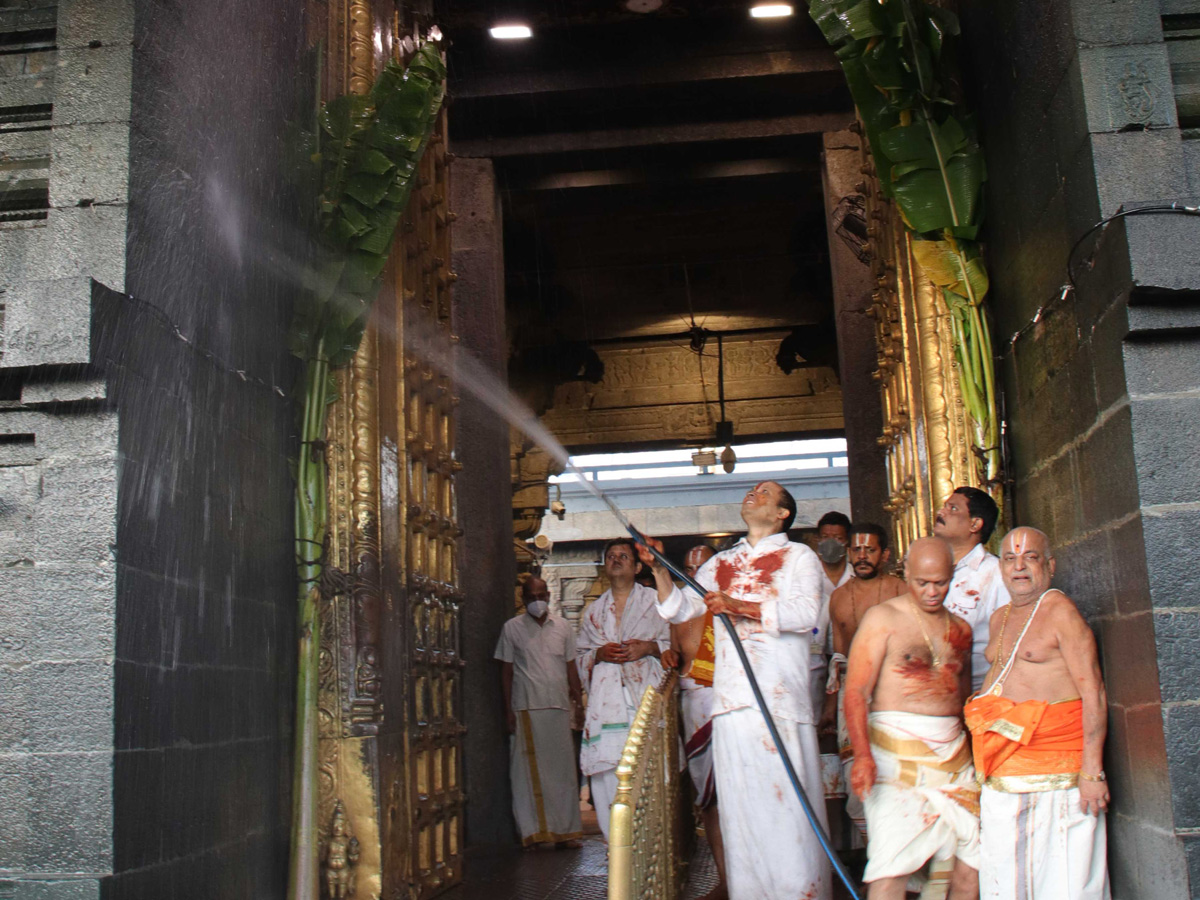 koil alwar thirumanjanam performed in tirumala Photo Gallery - Sakshi6