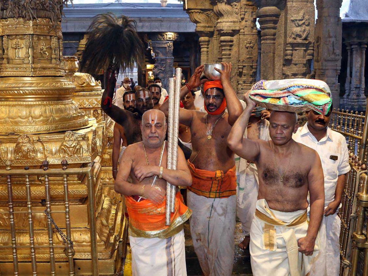 koil alwar thirumanjanam performed in tirumala Photo Gallery - Sakshi8