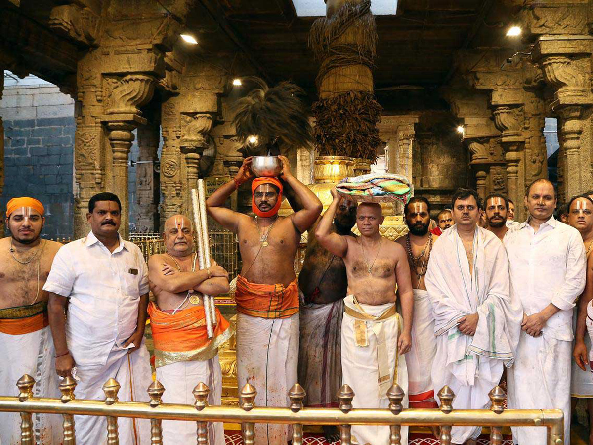 koil alwar thirumanjanam performed in tirumala Photo Gallery - Sakshi9