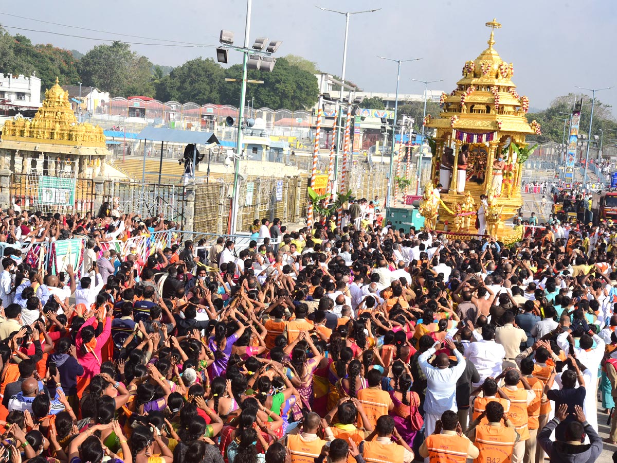 Heavy Rush Pilgrims At Tirumala Photo Gallery - Sakshi13