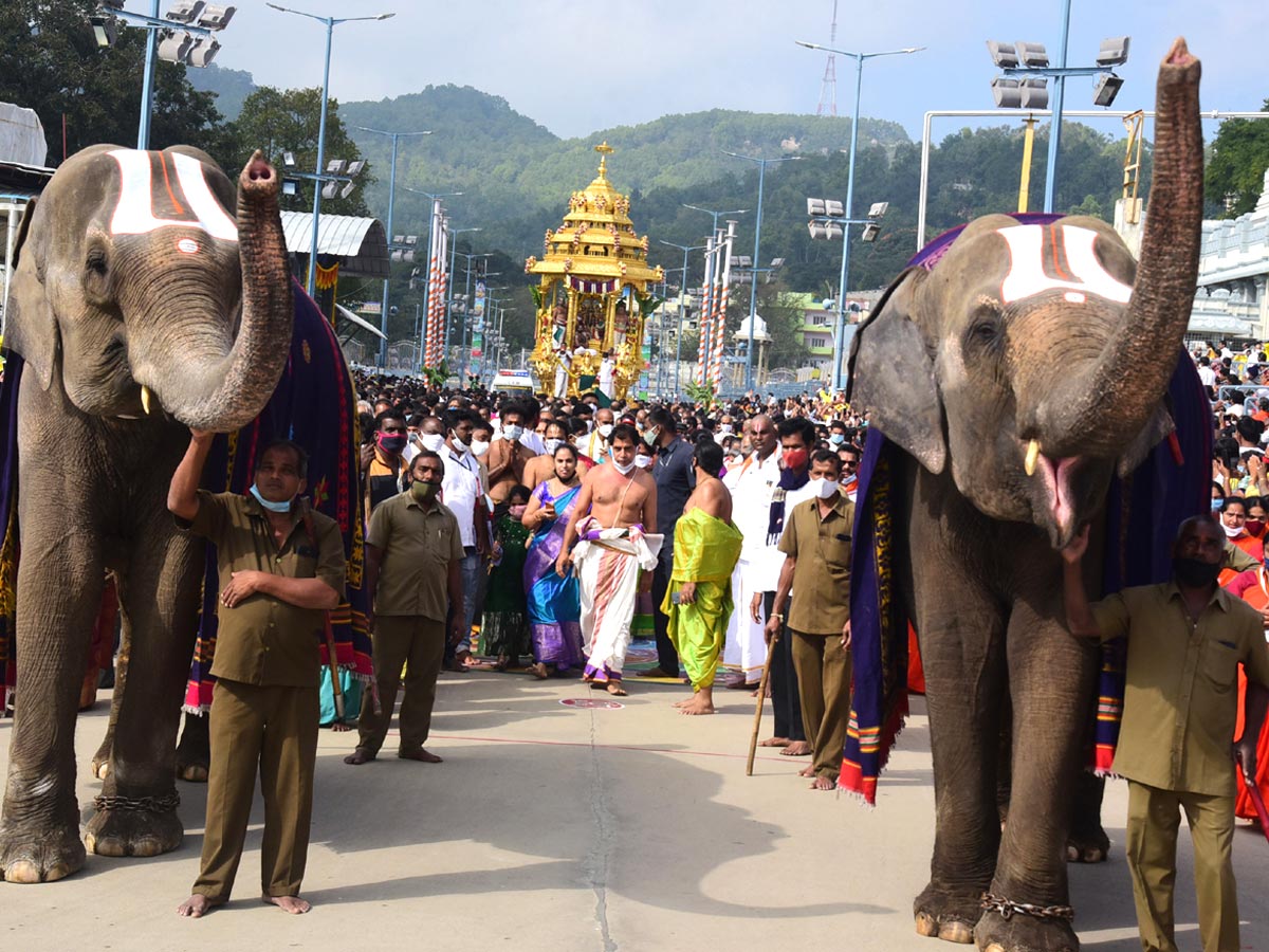 Heavy Rush Pilgrims At Tirumala Photo Gallery - Sakshi4