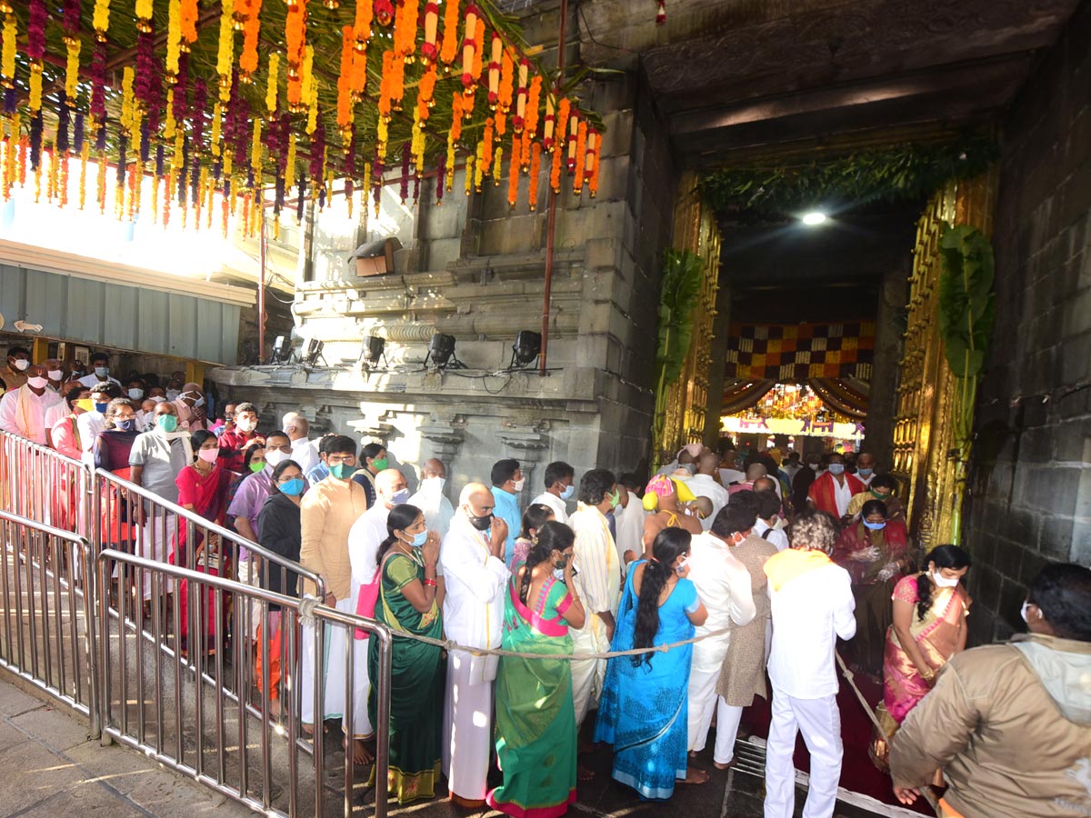 Heavy Rush Pilgrims At Tirumala Photo Gallery - Sakshi8