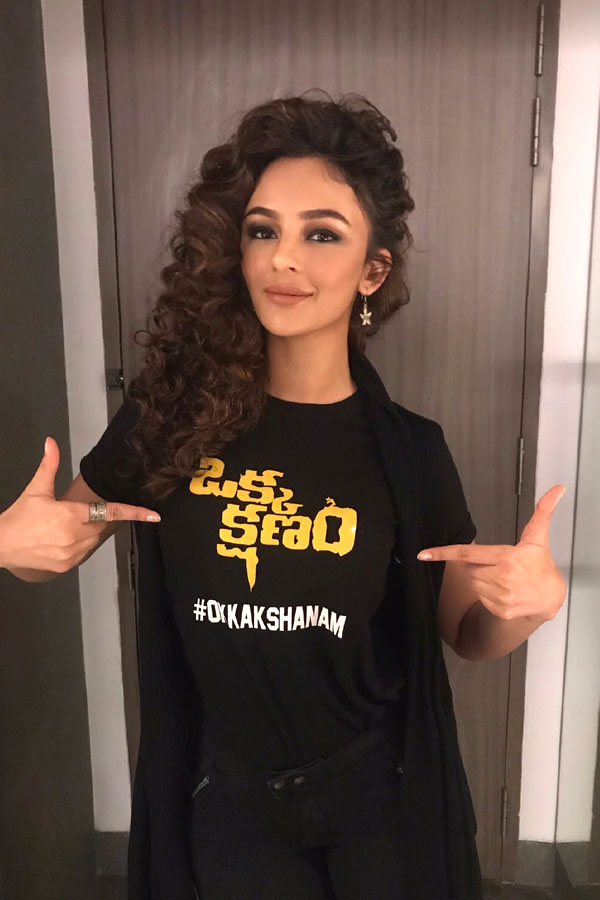 Heroine seerat kapoor latest photos Photo Gallery - Sakshi3