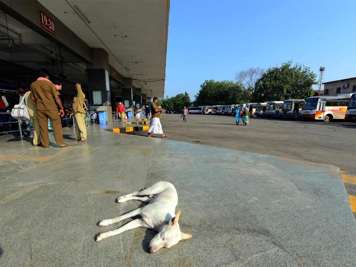 Bharat Bandh in ap and Telangana Photos - Sakshi11