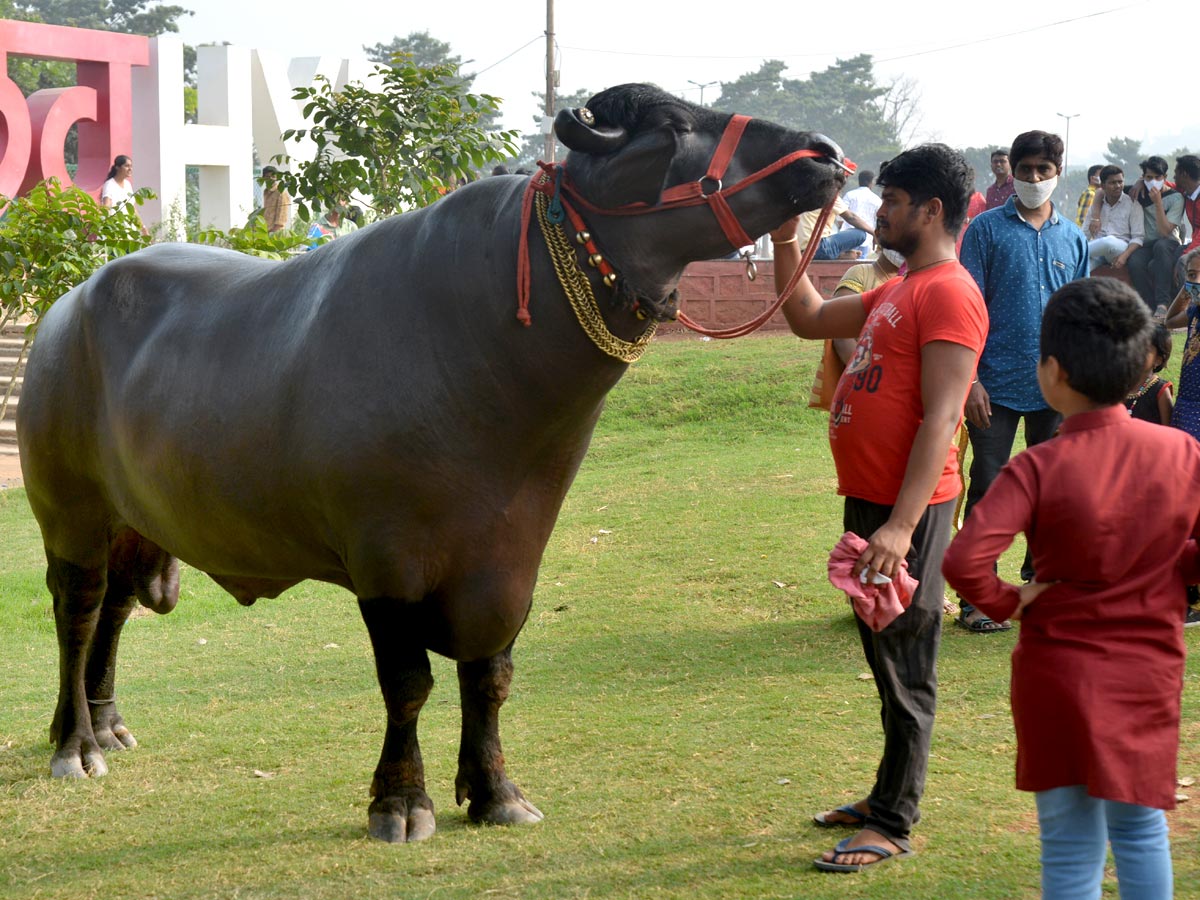 New year celebration 2021 Photo Gallery - Sakshi16