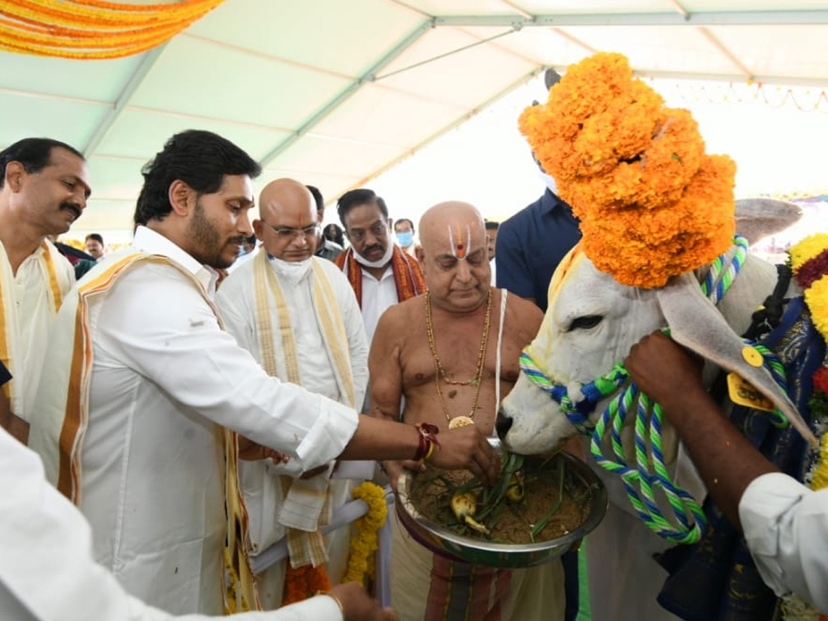 CM YS Jagan Participated In Go Puja At Narasaraopet - Sakshi1