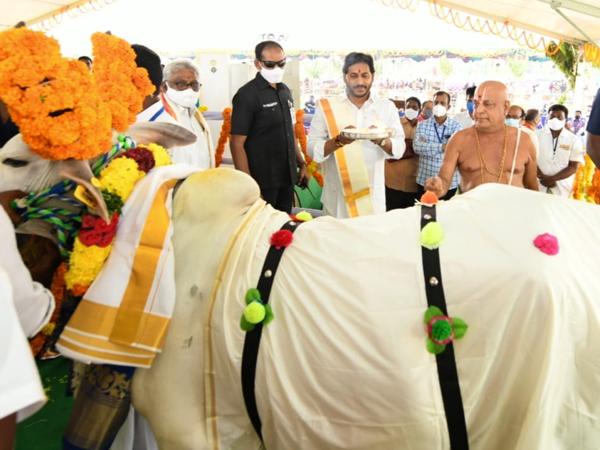 CM YS Jagan Participated In Go Puja At Narasaraopet - Sakshi4