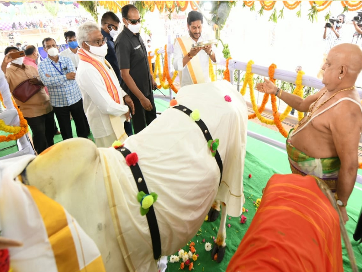 CM YS Jagan Participated In Go Puja At Narasaraopet - Sakshi5